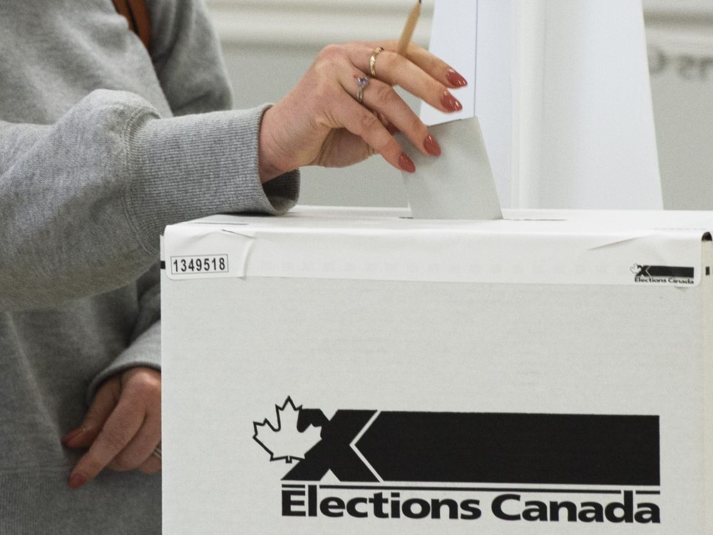 The results of a byelection held in Toronto—St. Paul's were delayed for hours after 84 candidates signed up to run